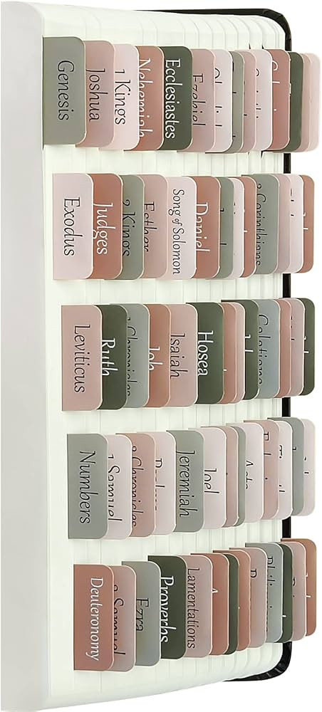 ZIEYOMI Bible Tabs, Bible Study Journaling Supplies, Large Print Bible Book Tabs for Women and Me... | Amazon (US)