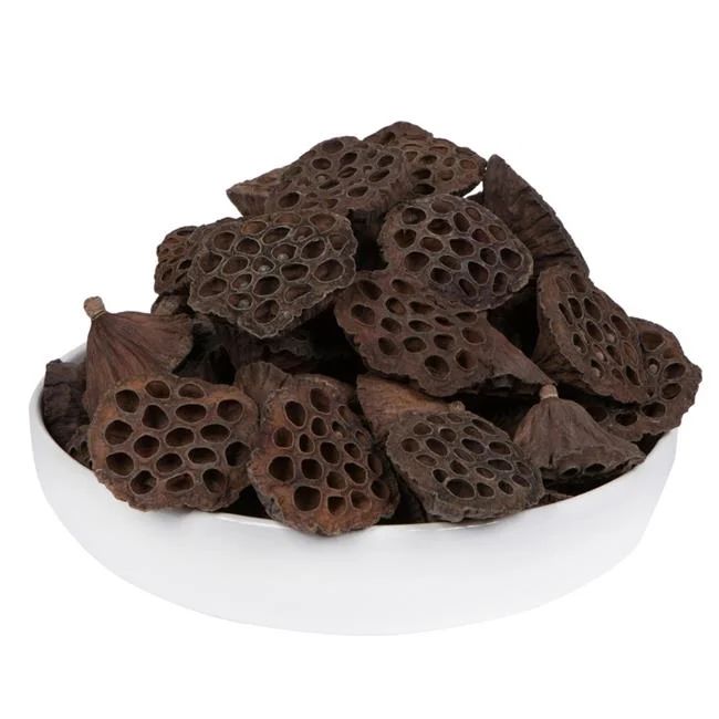 Vickerman Natural Botanicals 4"-4.8" Lotus Pod, Extra-Large. Includes 50 pieces per Pack. | Walmart (US)