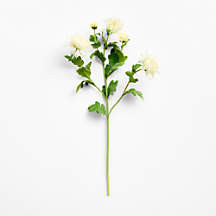 Faux White Mum Stem 31" | Crate & Barrel | Crate & Barrel
