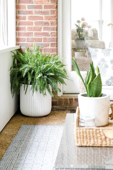 I as excited to buy a new rug and plants this season for my back porch sitting area. 

#LTKhome