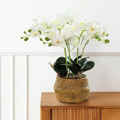 People Fake Flower Belt Arrangement Flowerpot, Orchid Elements, Fresh Style, Retro Style, Artificial Bonjing Pot Flower Phalaenopsis Fake Orchid, Livi | SHEIN