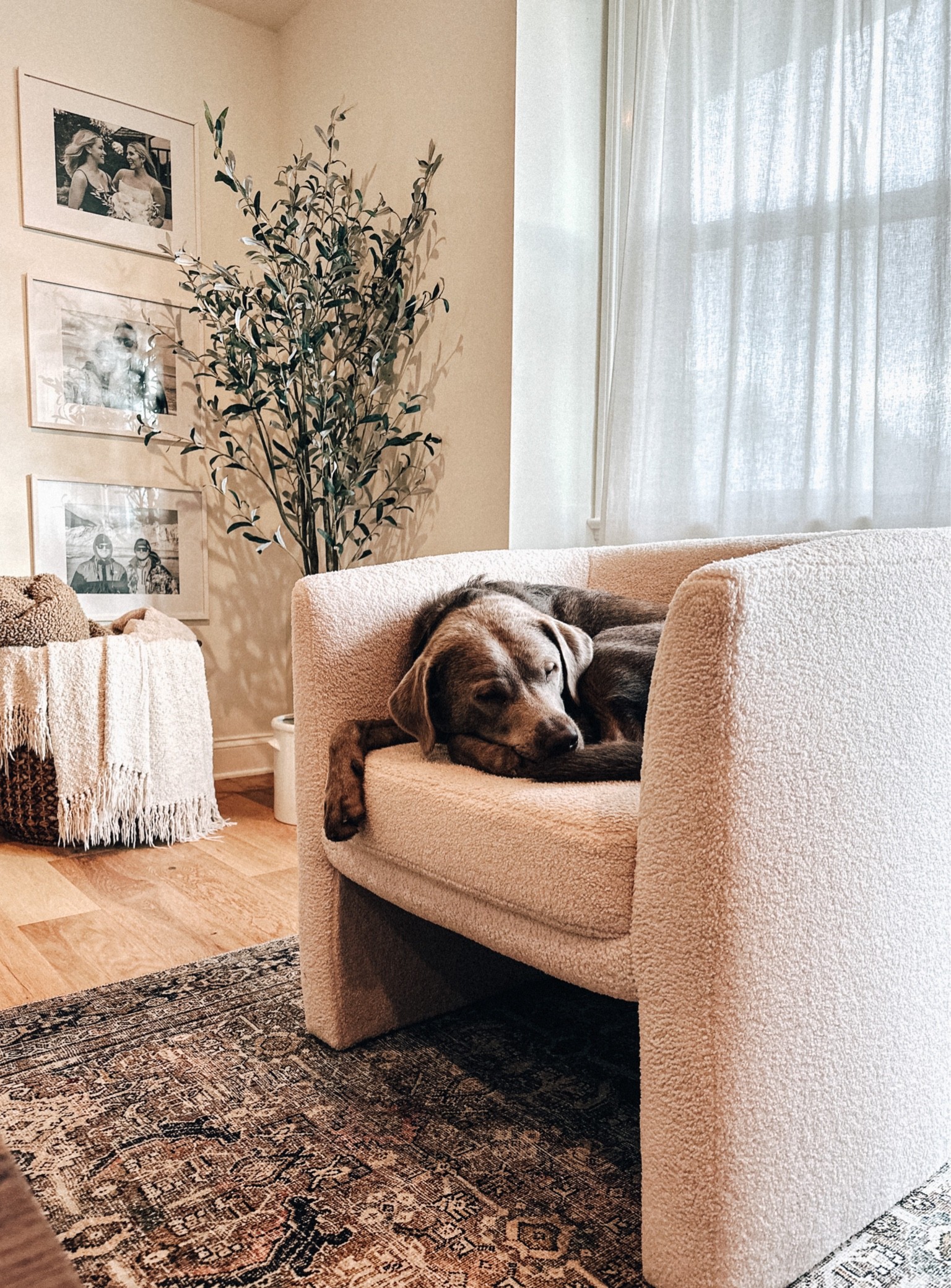 Cozy season in this house 

#LTKHalloween #LTKhome #LTKSeasonal