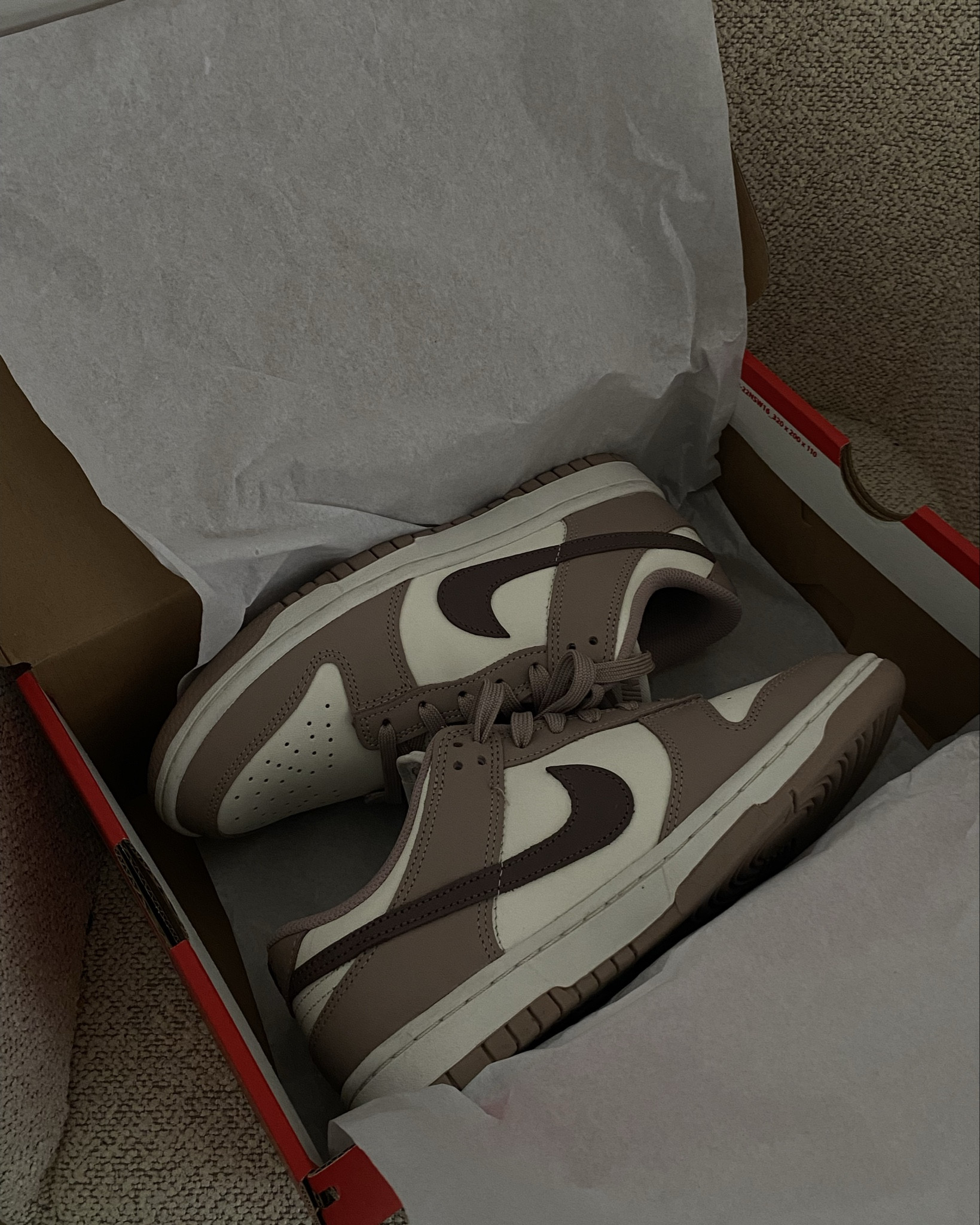 Nike dunk taupe 🐨


#LTKstyletip #LTKshoes #LTKnederlands