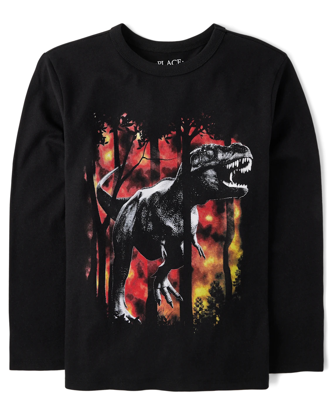Boys Dino Forest Graphic Tee - black | The Children's Place