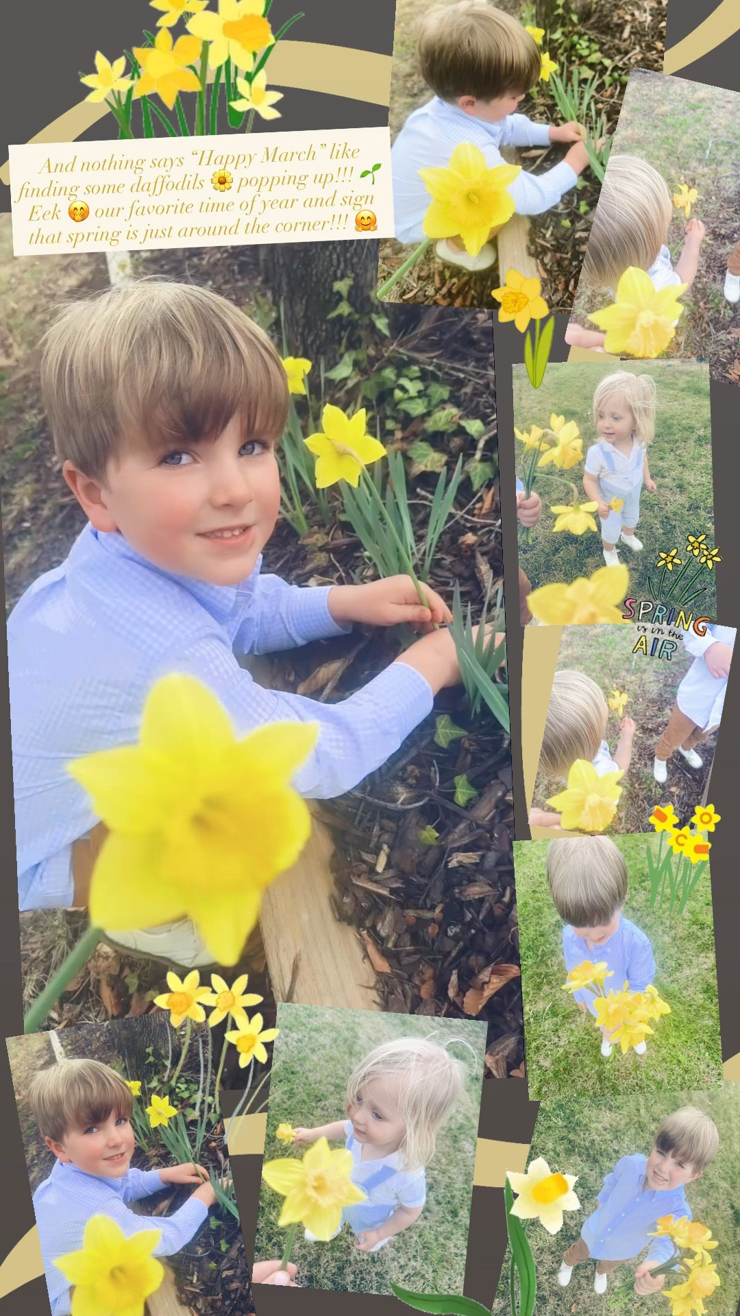 And nothing says “Happy March” like finding some daffodils 🌼 popping up!!! 🌱 Eek 🤭 our favorite time of year and sign that spring is just around the corner!!! 🤗