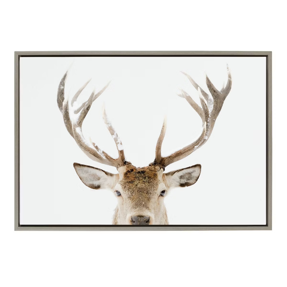 Kate & Laurel All Things Decor 23"x33" Sylvie Stag Peekaboo Framed Canvas Wall Art by Amy Peterso... | Target