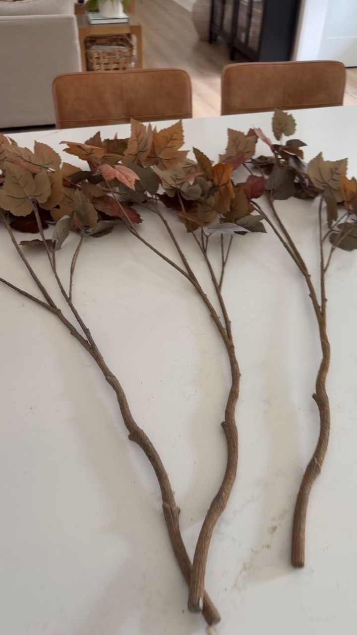 These stems for fall remind me of a much more expensive option! Works Market for the win! I’ll also add the clash set, and the pumpkins are from Hobby Lobby but I will add some others that are available online.￼￼

#LTKSeasonal #LTKHome #LTKSaleAlert