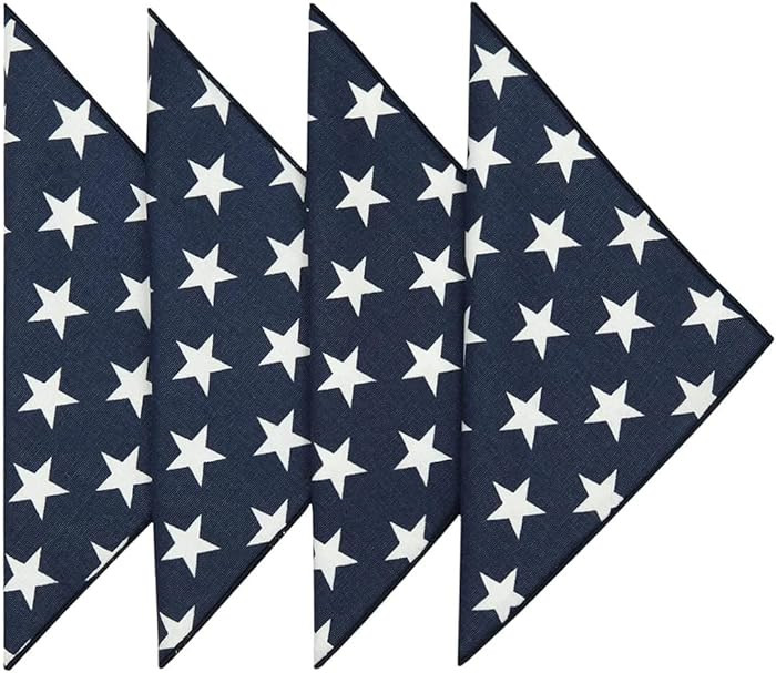 Blue and White Cloth Napkins Dinner, July 4 Decor Patriotic, Mix with Red White and Blue Stars an... | Amazon (US)