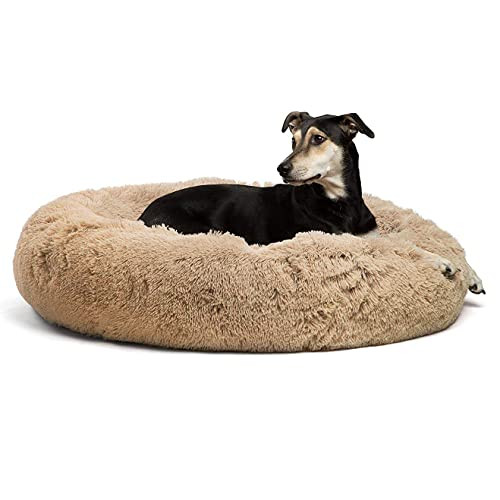 Best Friends by Sheri The Original Calming Donut Cat and Dog Bed in Lux Fur, Machine Washable, High  | Amazon (US)