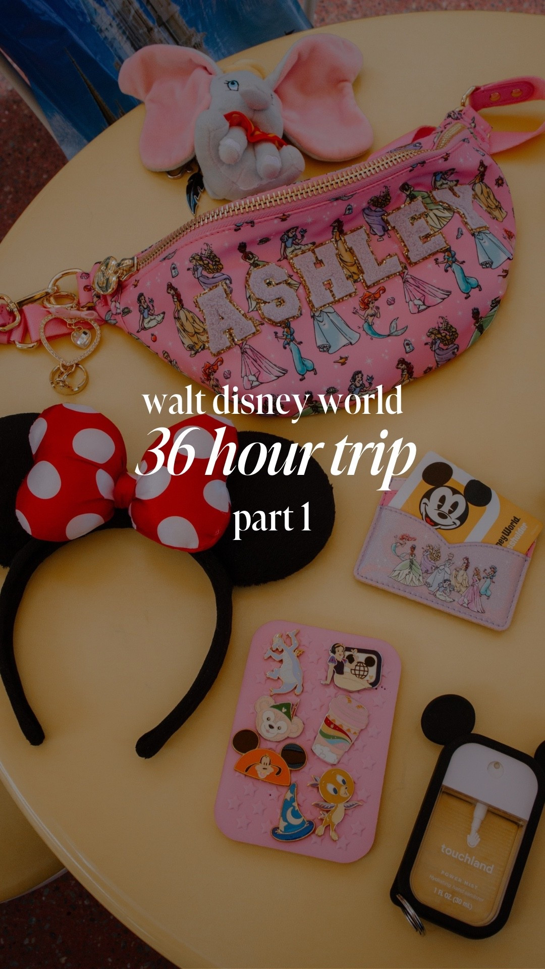 Disney girlie essentials 

#LTKdayinmylife #LTKgrwm #LTKselfcare