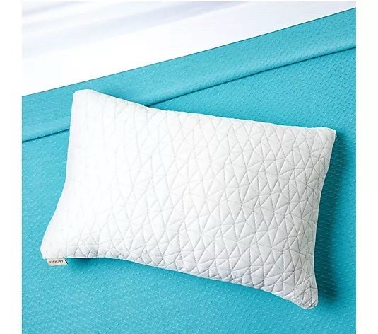 Coop Original Adjustable Pillow w/ Cross-Cut Memory Foam-Queen



#LTKU #LTKHome #LTKMothersDay