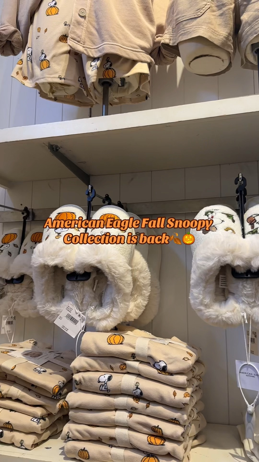American Eagle Snoopy Fall Collection🍂 #americaneagle #snoopyfall #falloutfit

#LTKSeasonal