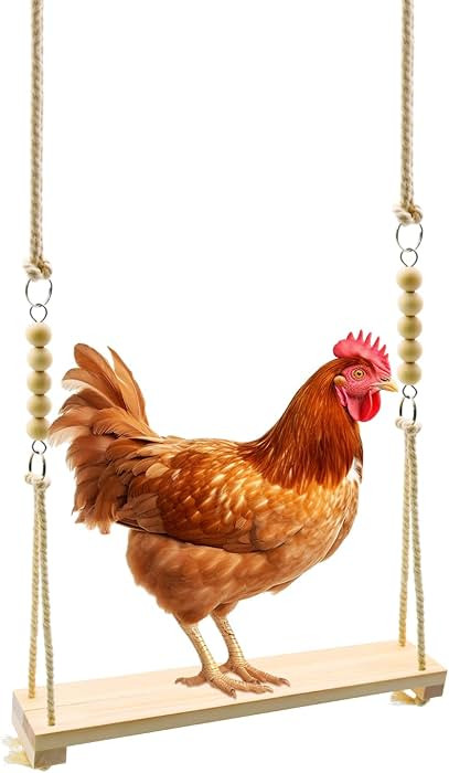 Chicken Swing Toy, Chicken Toy, Wood Chicken Swing Toy, Wood Chicken Swing for Chickens Rooster P... | Amazon (US)