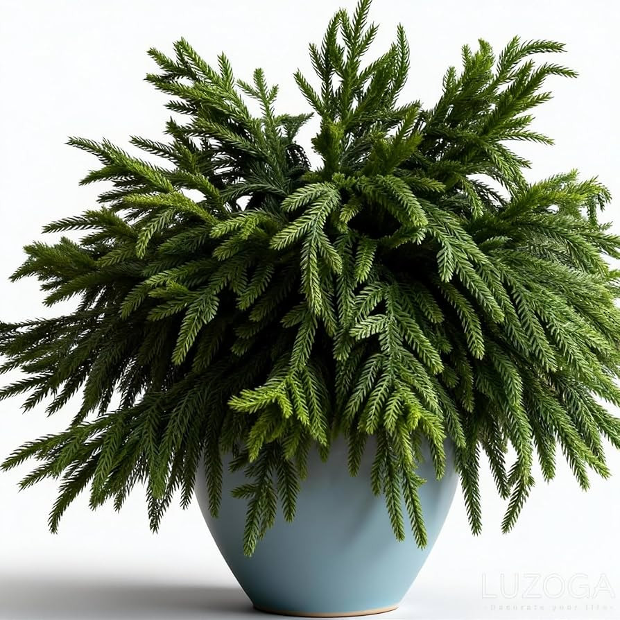 6 Pcs Christmas Norfolk Pine Stems 17'' Long Realistic Pine Branches Natural Droopy Soft Bendable... | Amazon (US)