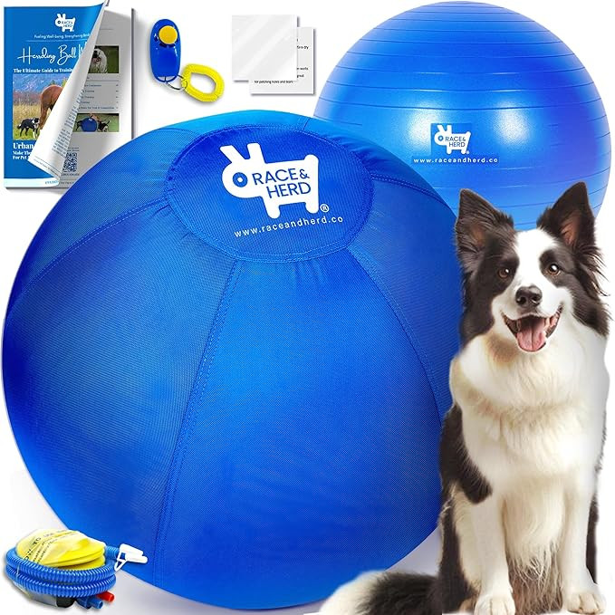 Race&Herd Herding Ball for Dogs (25" M Herding Ball Set) Herding Ball for Australian Shepherd, Ca... | Amazon (US)