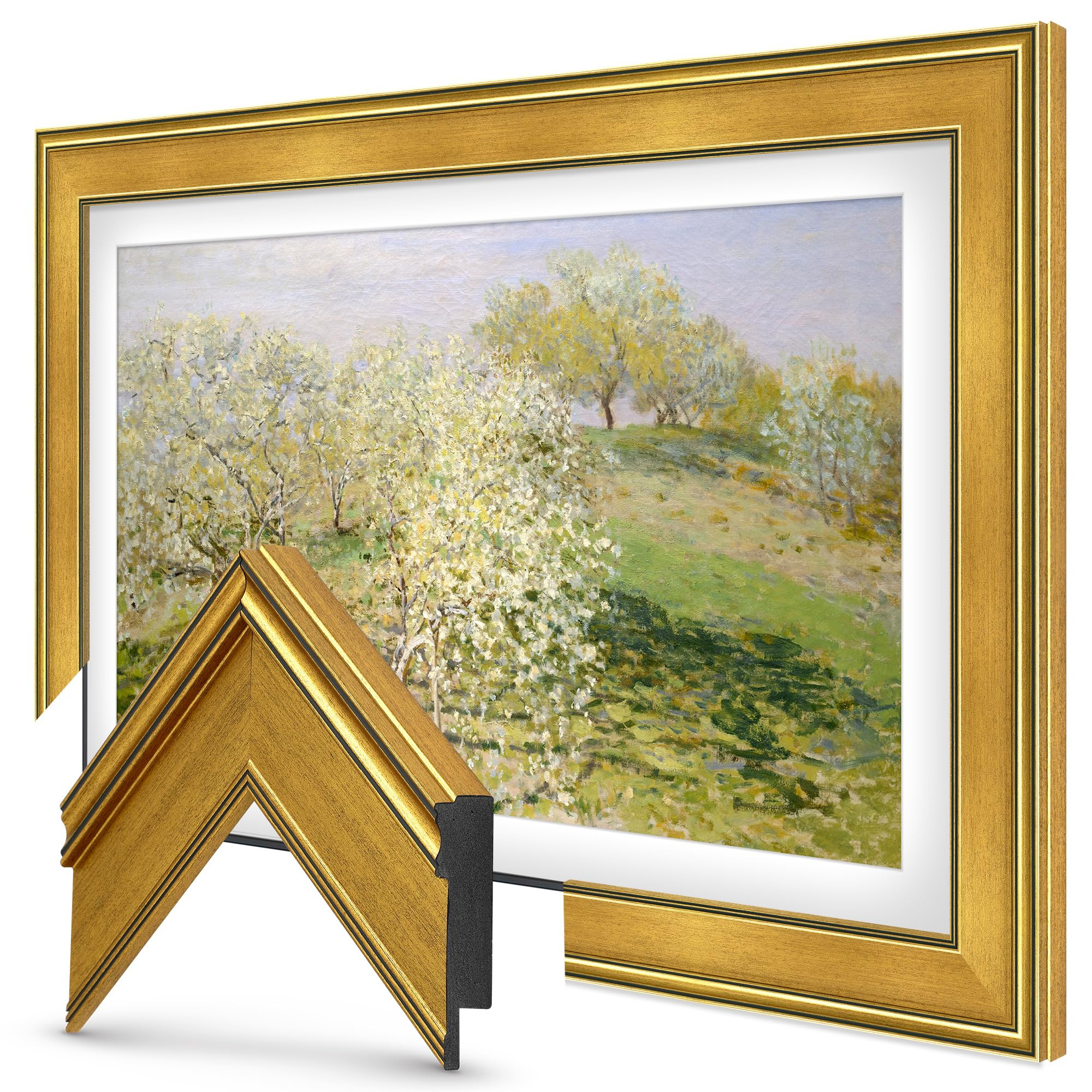 Antique Gold 32" Premiere Deco TV Frame - Compatible ONLY with Samsung The Frame TVs (Fits 2021-2... | Amazon (US)
