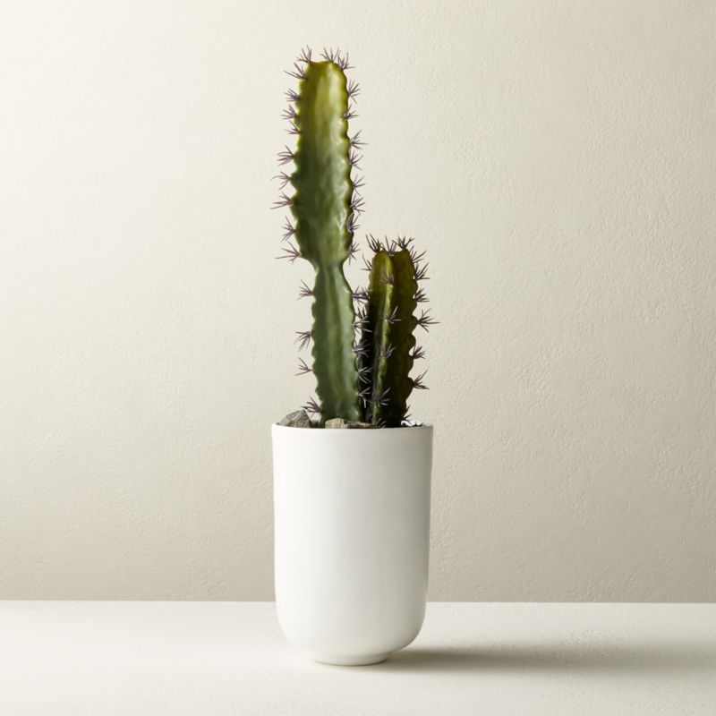 Faux Cactus In White Pot 22"In stock and ready to ship.ZIP Code 19019Change Zip Code: SubmitClose... | CB2