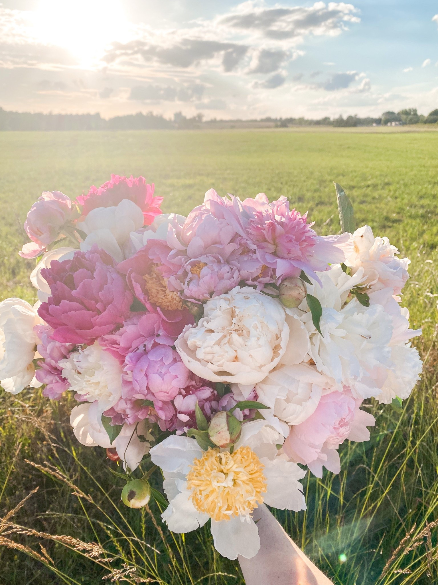 Gosh peonies are such a dream. I may have to start growing more than the 3 I got from Walmart! 

#LTKSeasonal #LTKHome #LTKOver40