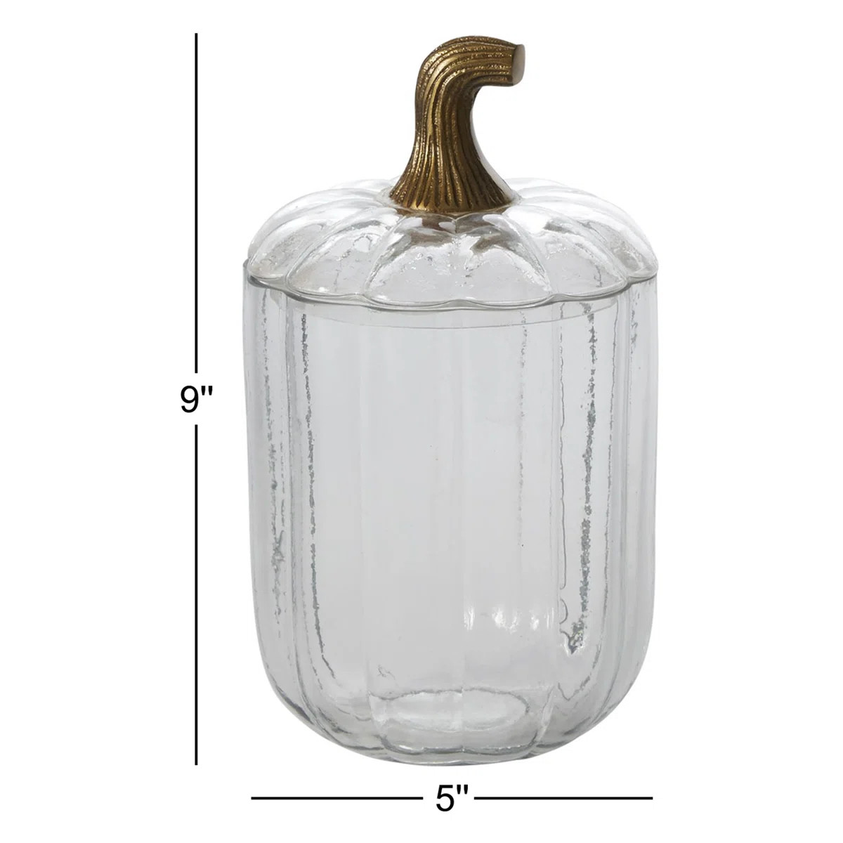Halloween No Animal(s) Decorative Accent | Wayfair North America