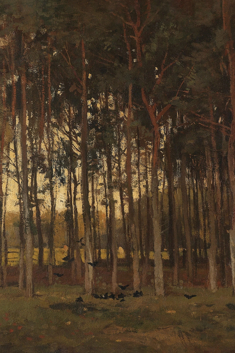 Amber Woods | Juniper Print Shop