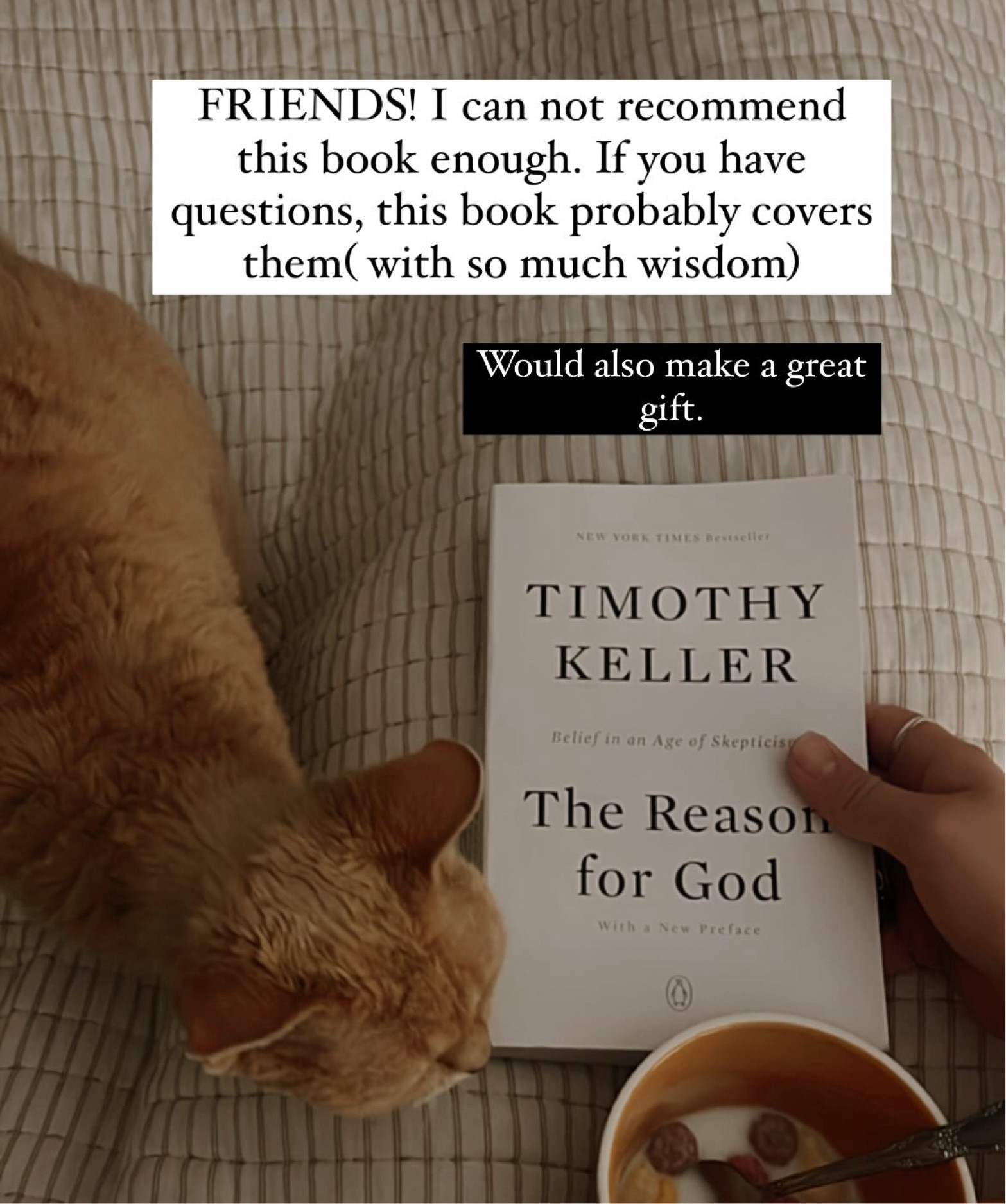 The Reason for God by Tim Keller is a great Christian book to read for any new Christian or someone who is asking questions! It is such an informative book that covers so many hard topics with so much wisdom! It would make a perfect gift or stocking stuffer! 

#LTKbooks #Bestbooks #stockingstuffers 

#LTKGiftGuide