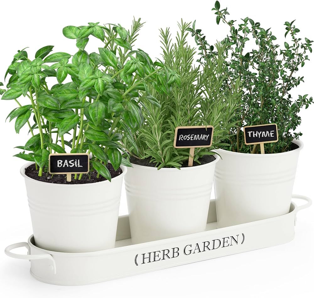 PERFNIQUE Indoor Herb Garden, Herb Garden Planter for Indoor/Outdoor, Farmhouse Plant Pots, Windo... | Amazon (US)