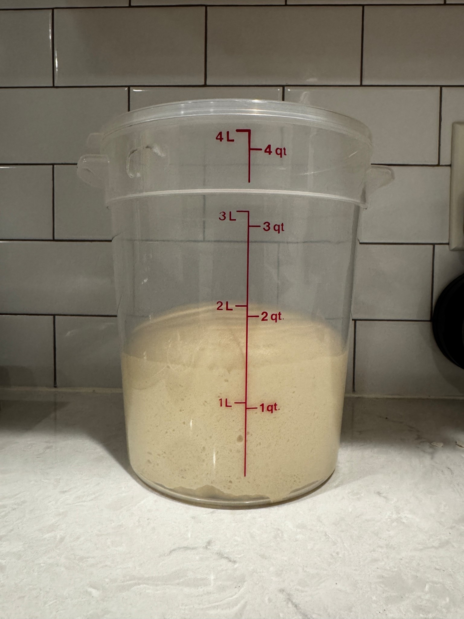 Great containers to see how much your dough has risen 