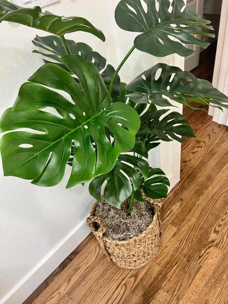 beautiful faux monstera plant + baskets 



#LTKhome #LTKFind