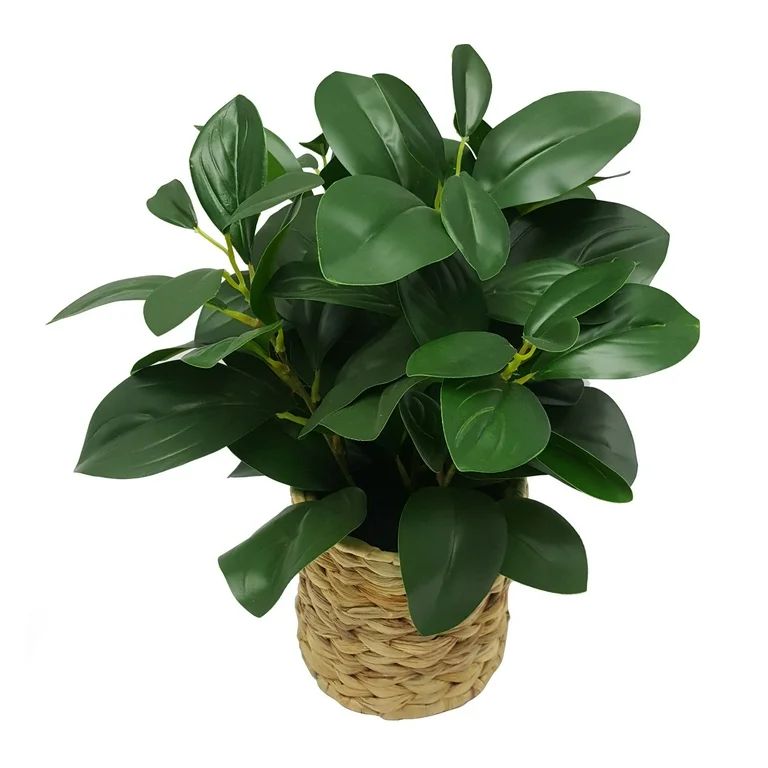 Better Homes and Gardens Artificial 13" Peperomia Plant in Water Hyacinth Basket | Walmart (US)