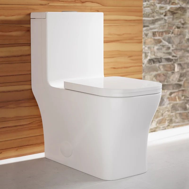 SM-1T106 Concorde Dual-Flush Elongated One-Piece Toilet (Seat Included) | Wayfair North America