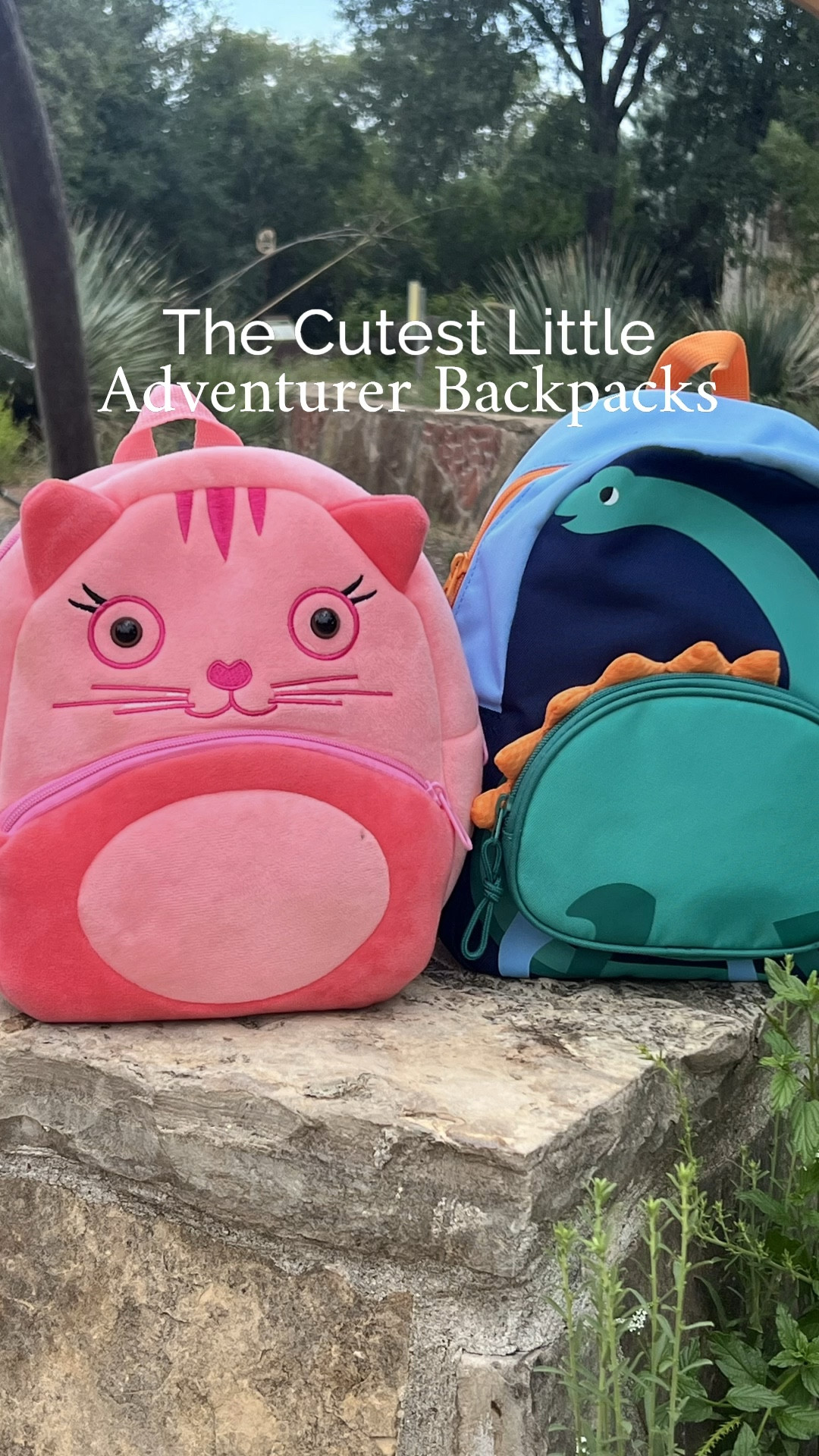 These little backpacks perfect size for kiddos. My kids are 3 and 5 and they can carry these with ease. Lately they’ve loved choosing their own snacks and a couple of toys to carry along with them, plus they have a place (that’s not my pockets) to put all the “treasures” they find when we are out and about. 

#LTKFindsUnder50 #LTKKids #LTKFamily