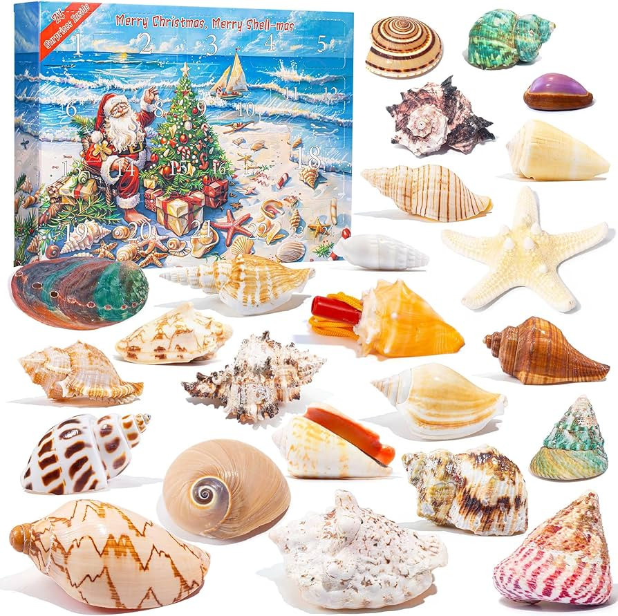 QianCannaor Advent Calendar 2024 Seashell, 24 Days Christmas Countdown Surprises with Marine Shel... | Amazon (US)