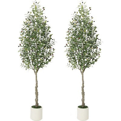 7Ft Faux Olive Tree - Fake Potted Olive Silk Plant with White Planter, Natural Olive  and Realistic Leaves for Home Office Decor, Set of 2 | Target