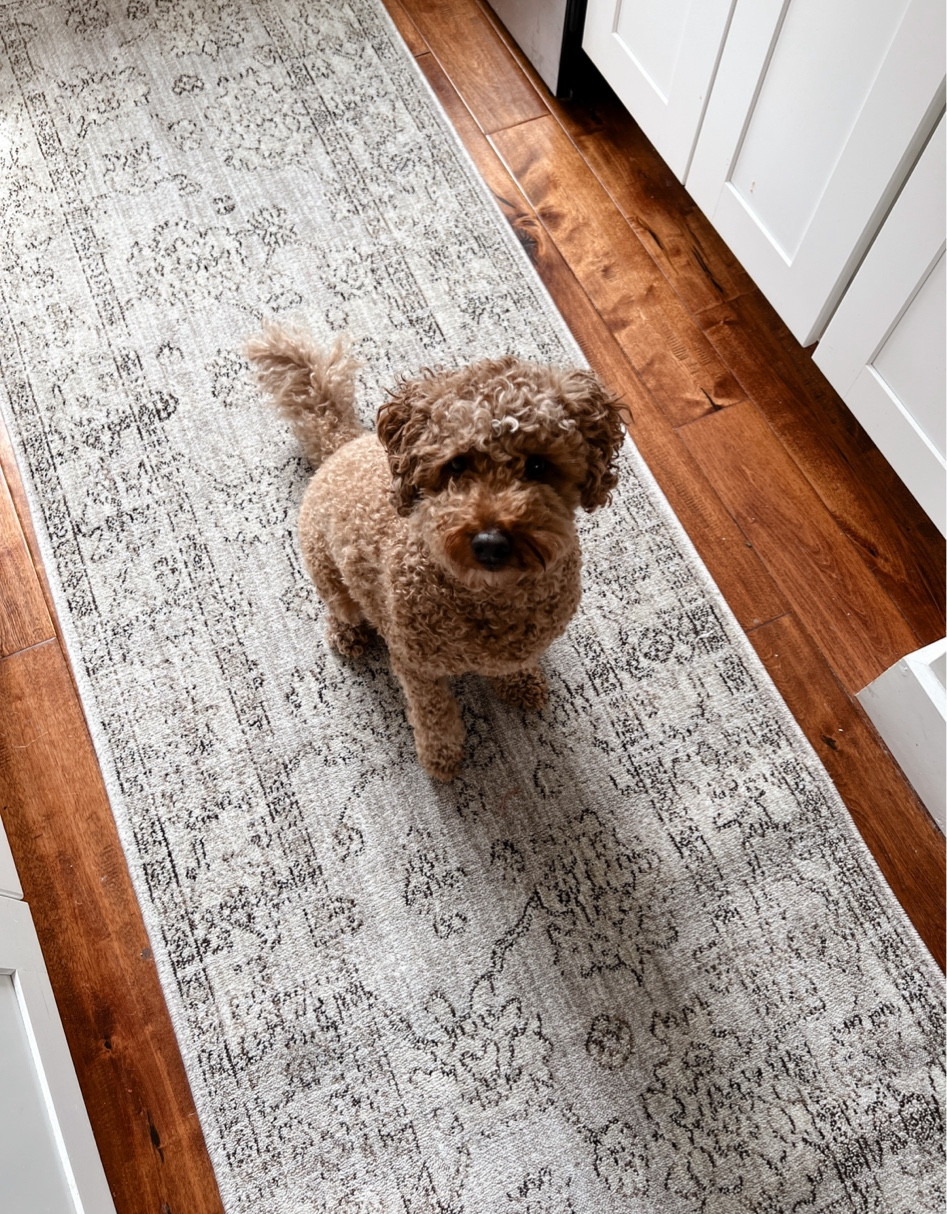 So obsessed with this Turkish runner at such a great price 

#LTKFind #LTKunder100 #LTKhome