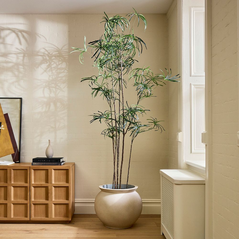 Faux Potted Australian Bottleneck Tree | West Elm (US)