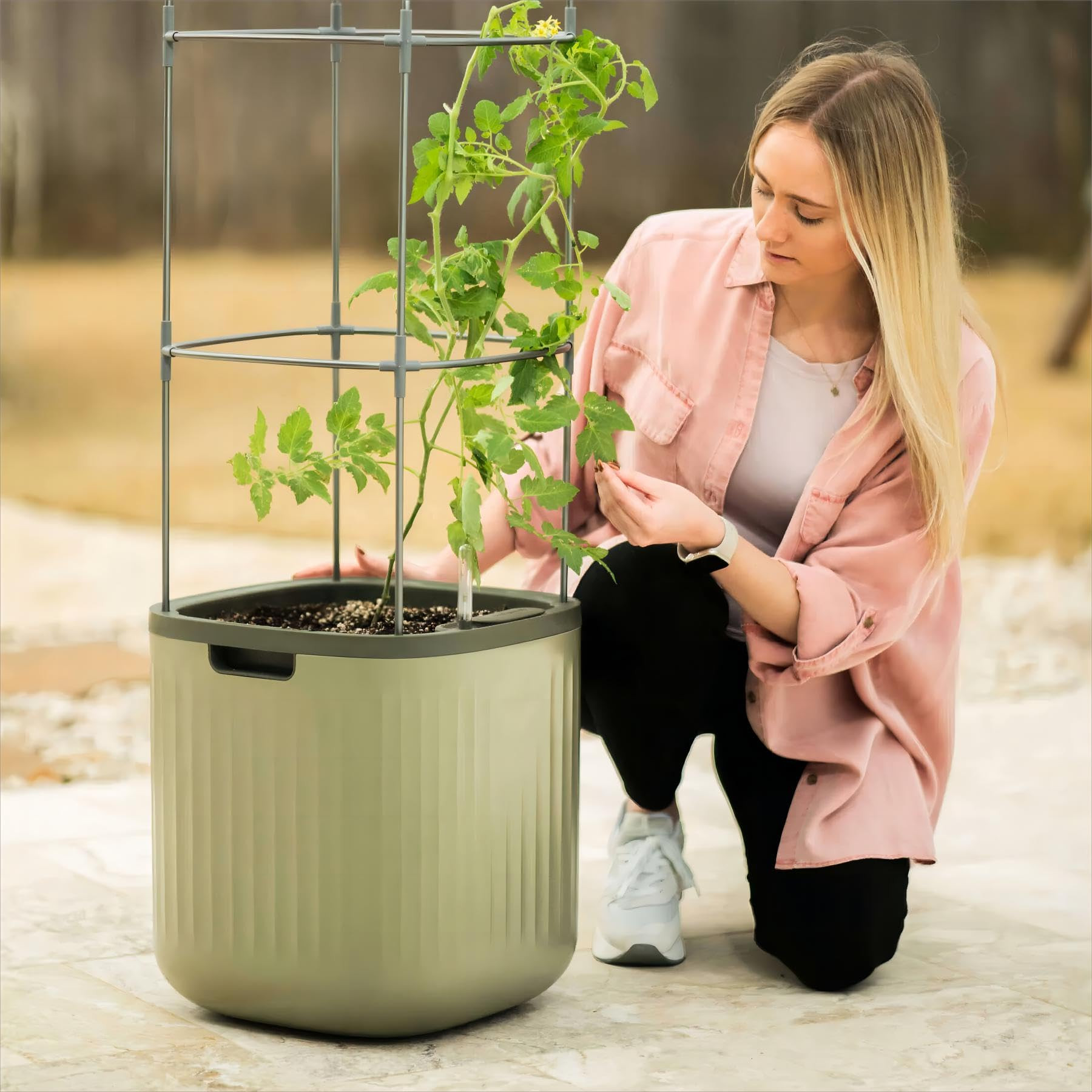 Vego garden Tomato Planter Box with Trellis Self-Watering Rolling Raised Garden Bed for Climbing ... | Amazon (US)