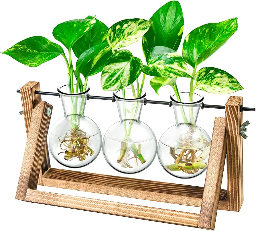 Ivolador Propagation Station, Plants Terrarium, Plants Lover Gifts for Women,Plant Cutting Holder... | Amazon (US)