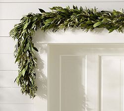 Live Olive Leaf and Myrtle Wreath &amp; Garland | Pottery Barn (US)
