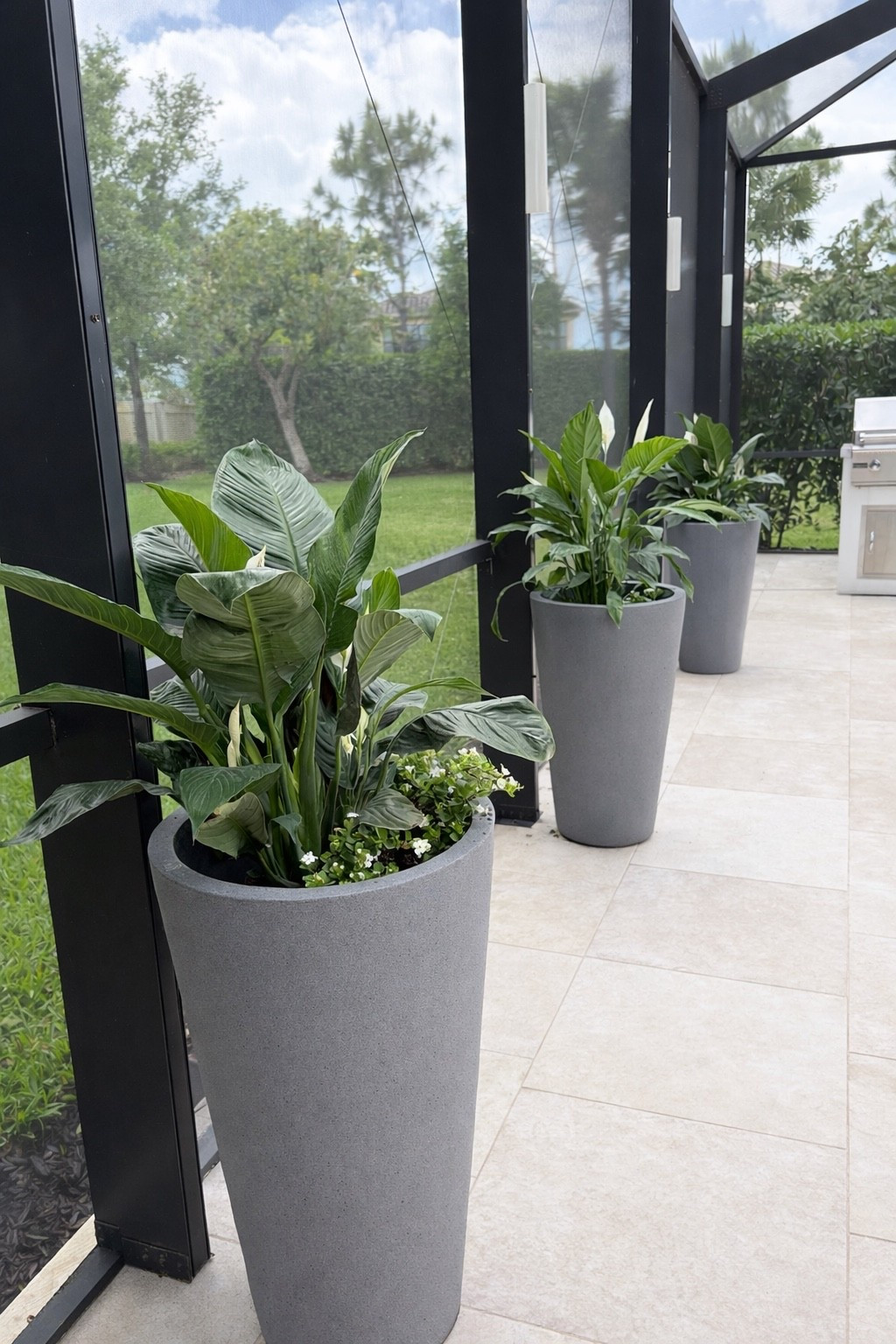 New plants who this 

#backyard #planter #springhome #spring #lowes #amazonhome 

#LTKSeasonal #LTKdayinmylife #LTKHome