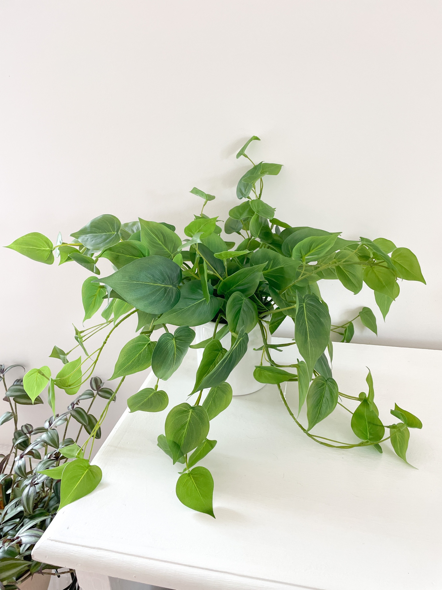 Love this fake plant! Great reviews and looks real, faux plants, bookshelf styling, artificial pathos plant

#LTKhome #LTKunder50