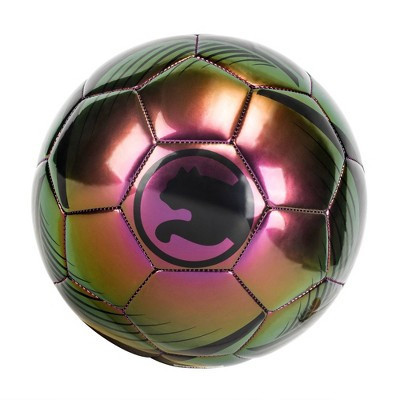 ProCat by Puma Unity Size 5 Soccer Ball - Iridescent | Target
