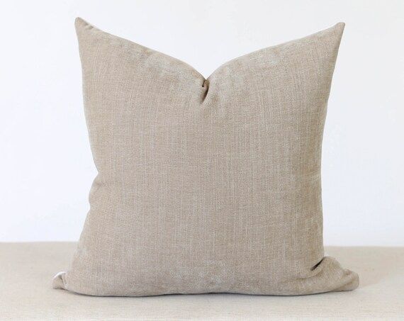 Taupe Velvet Pillow Cover, Grey Velvet Throw Pillow, Throw Pillow Covers 18x18, Pillow Covers 20x... | Etsy (US)