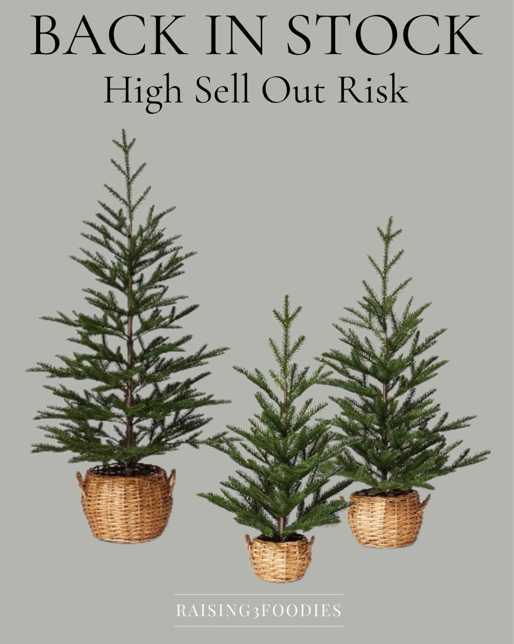 Studio McGee for Target Holiday trees are back in stock!  They are so pretty and will sell out again so get them if you want them!  


Christmas holiday home decor 

#LTKstyletip #LTKHoliday #LTKhome