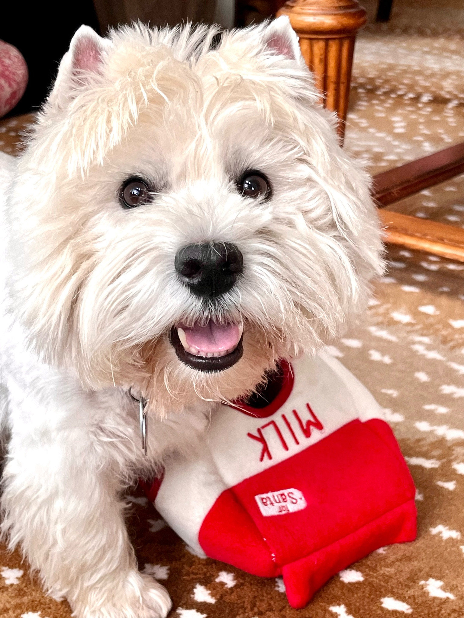 Wellie loves his milk and cookies toy and he recommends it for your baby! Red and white for Santa plus it comes in blue and white too!

#LTKGiftGuide #LTKHoliday #LTKSeasonal