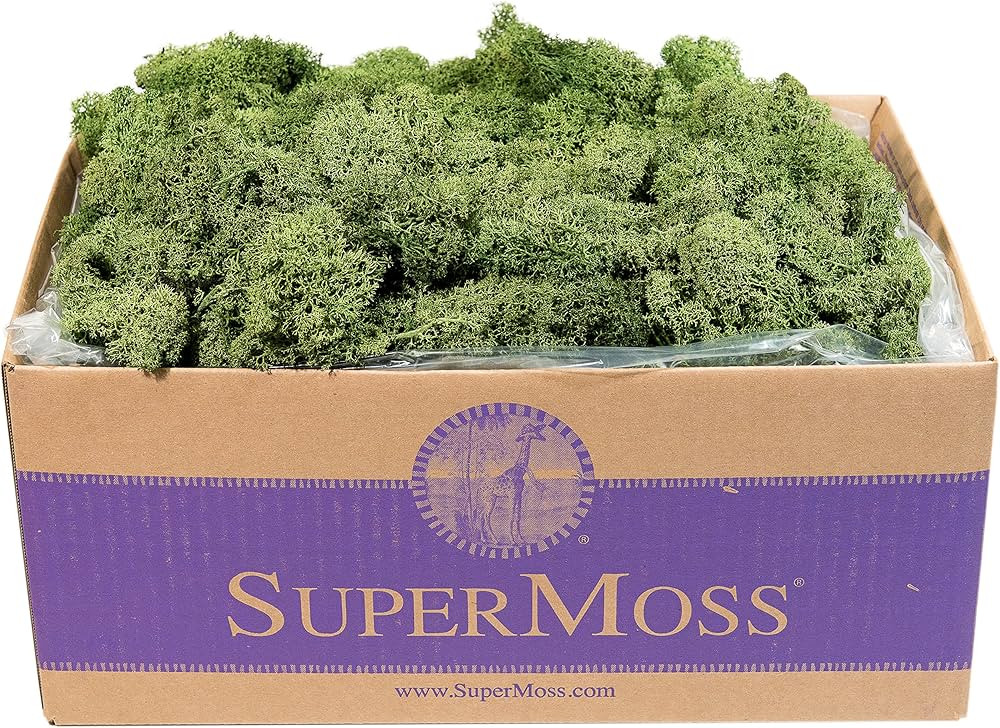 SuperMoss (25155) Reindeer Moss Preserved, Basil, 3 Pounds | Amazon (US)