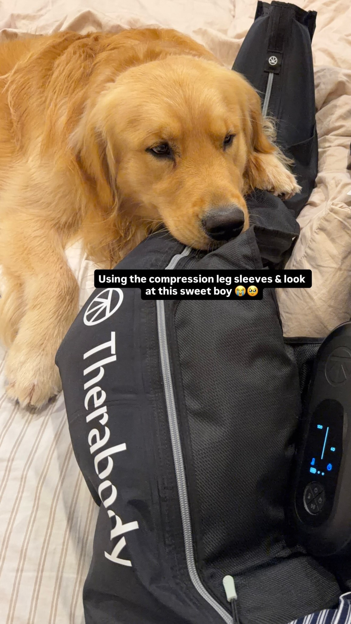 Using the compression leg sleeves & look at this sweet boy 😭🥹

Amazon Prime Day Deals