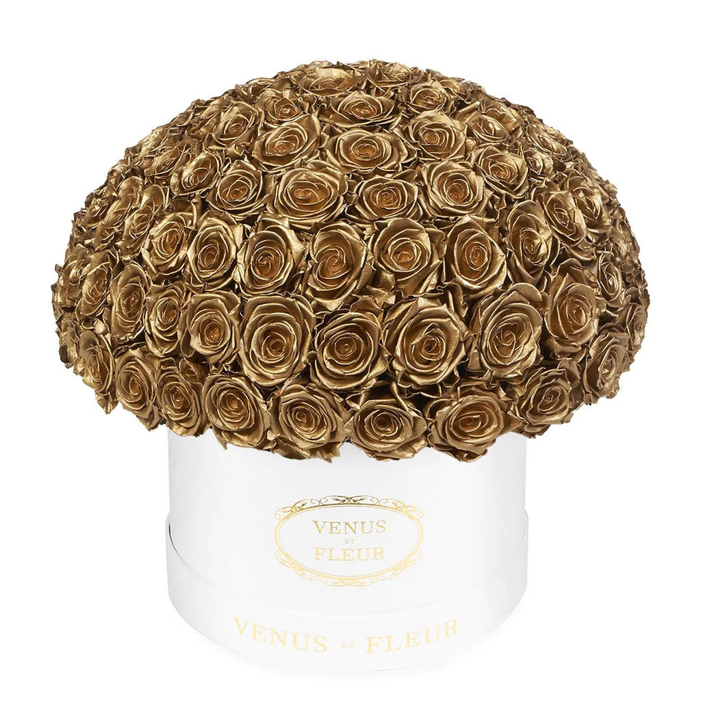 Le Plein | Venus ET Fleur