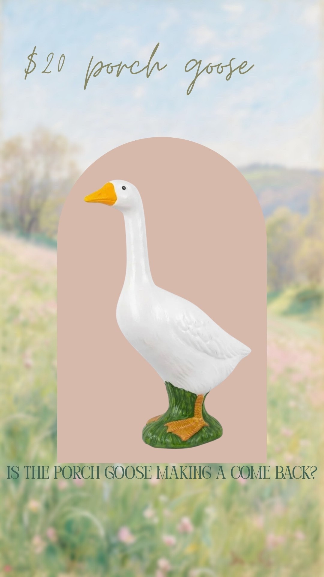 $20 porch goose!

#LTKSeasonal #LTKHome #LTKU