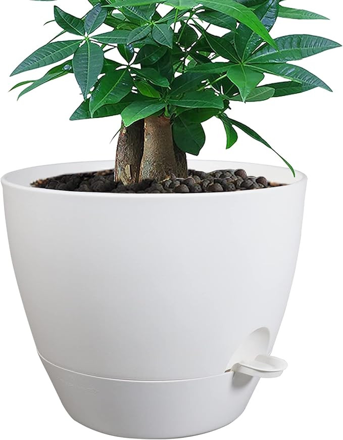 12inch Self Watering Pots, Plastic Planters with Mesh Drainage Holes and Deep Reservoir for Indoo... | Amazon (US)