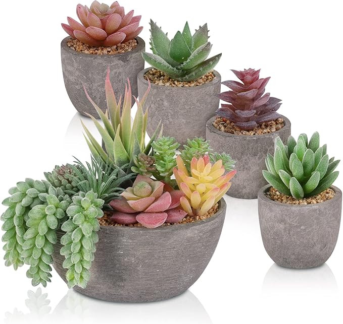 CEWOR 5pcs Fake Succulents Mini Faux Succulents in Pots Mixed Sizes Artificial Succulents Plants ... | Amazon (US)